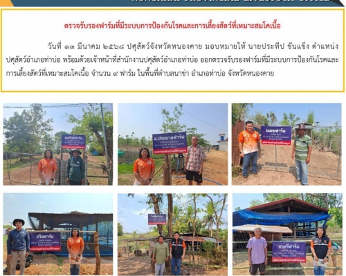 ตรวจรับรองฟาร์มที่มีระบบการป้องกันโรคและการเลี้ยงสัตว์ที่เหมาะสมโคเนื้อ