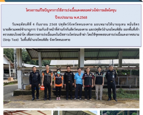 โครงการแก้ไขปัญหาการใช้สารเร่งเนื้อแดงตลอดห่วงโซ่การผลิตโคขุน ปีงบประมาณ พ.ศ.2568