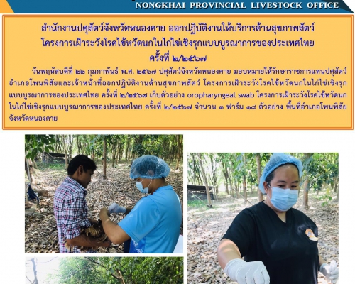 สำนักงานปศุสัตว์จังหวัดหนองคาย ออกปฏิบัติงานให้บริการด้านสุขภาพสัตว์ โครงการเฝ้าระวังโรคไข้หวัดนกในไก่ไข่เชิงรุกแบบบูรณาการของประเทศไทย ครั้งที่ 2/2567